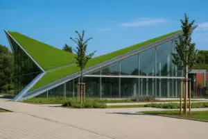 Green Infrastructure Modern City - Q and A Green Rooftops Gardens Tech